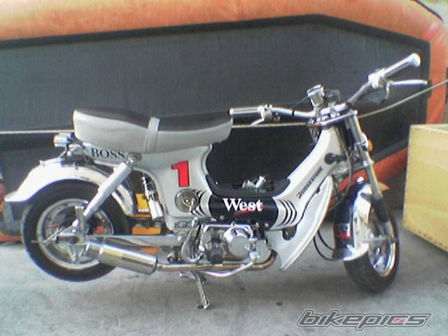 Photo 1723520