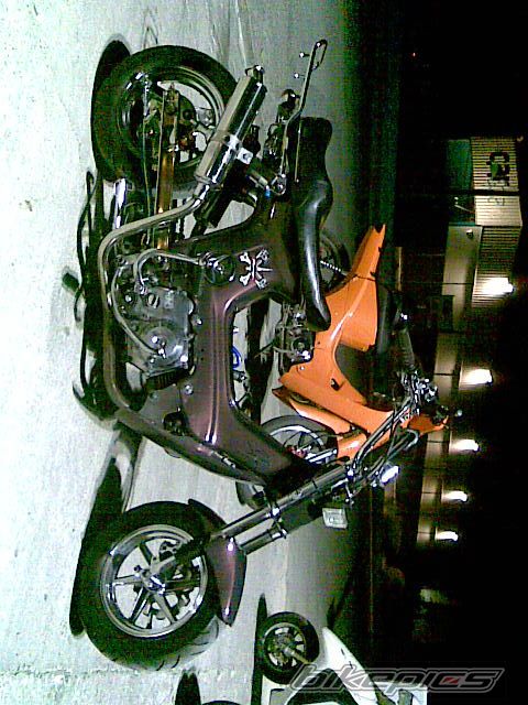 Photo 1723522