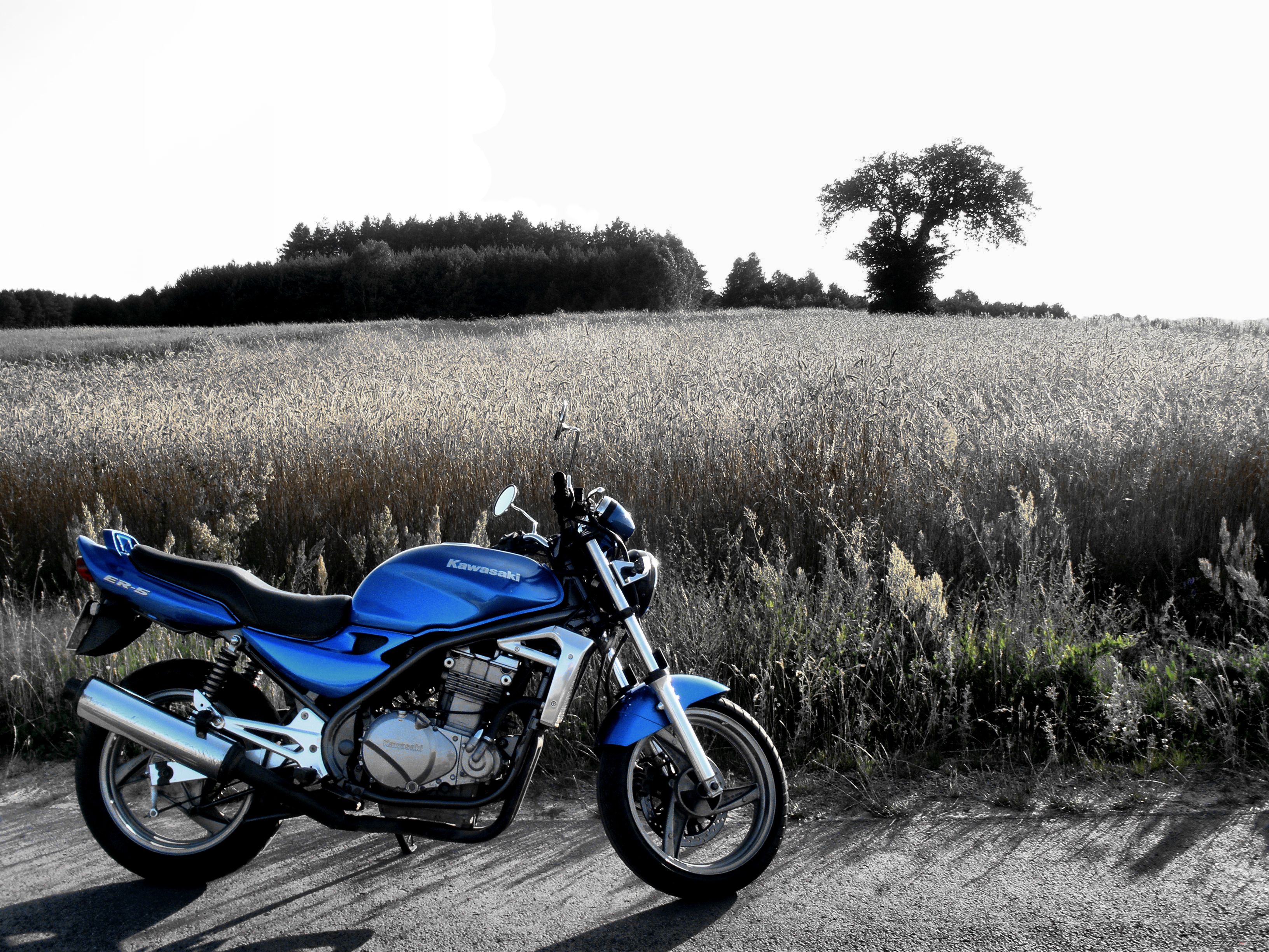 Photo 1723538