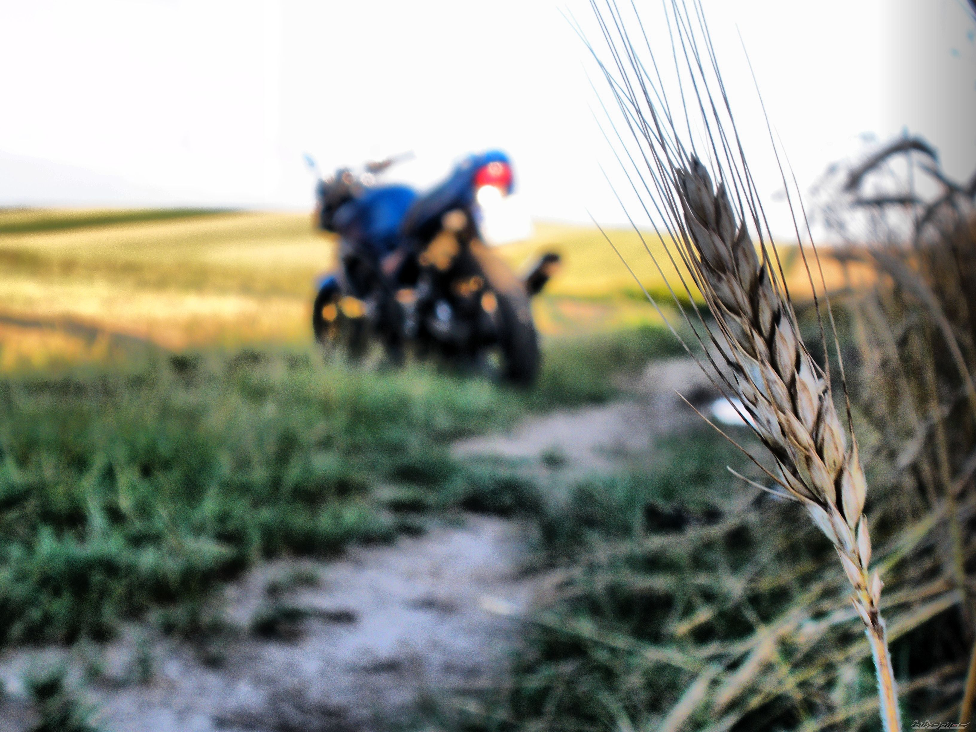 Bike Photo 1723555