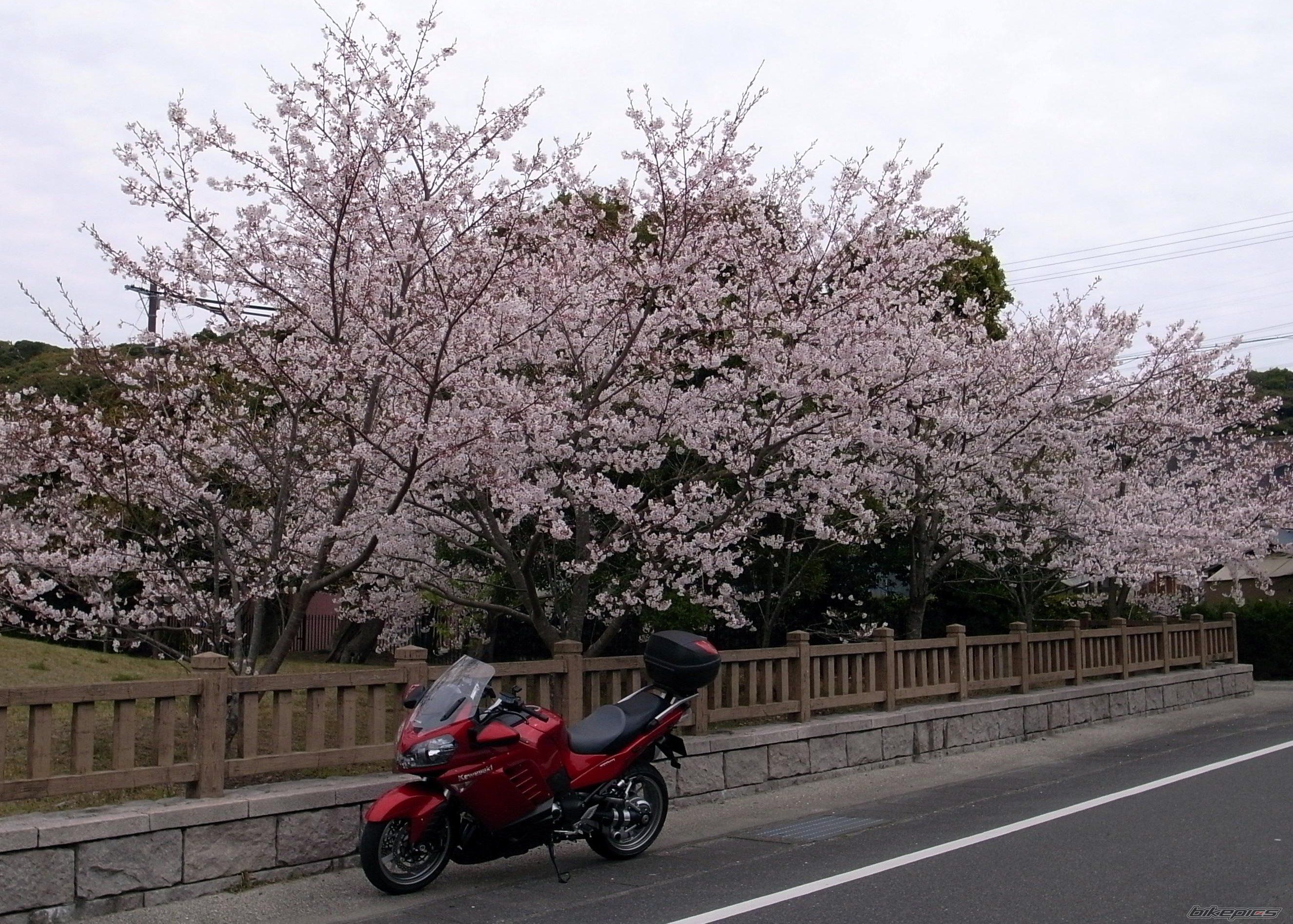 Photo 1723744
