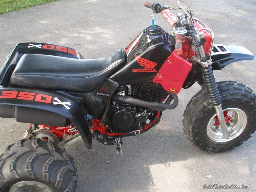 Photo 1723773