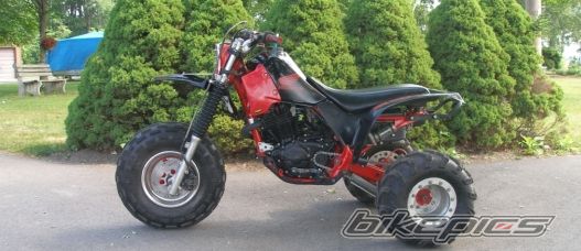 Photo 1723774