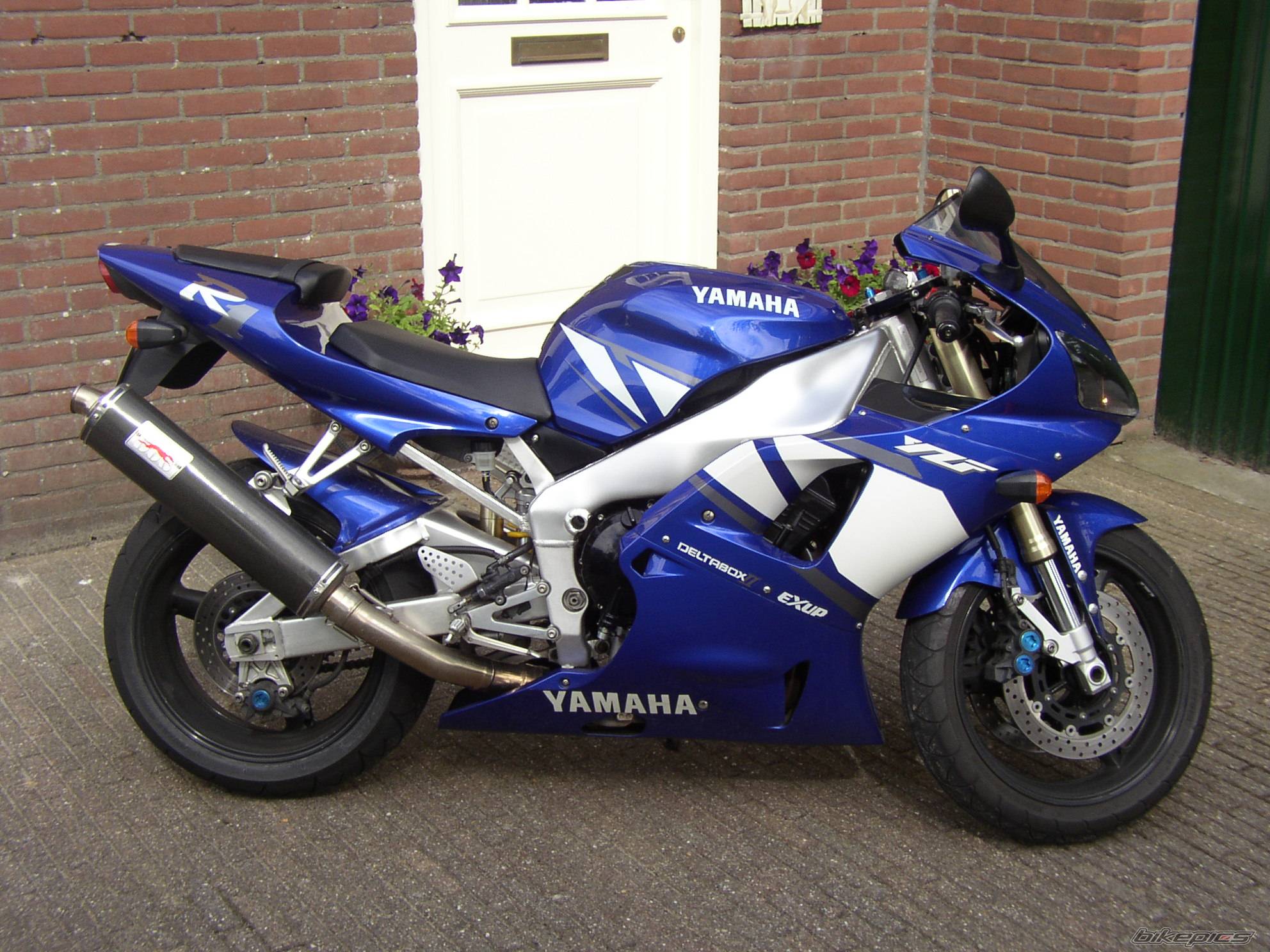 Photo 172383