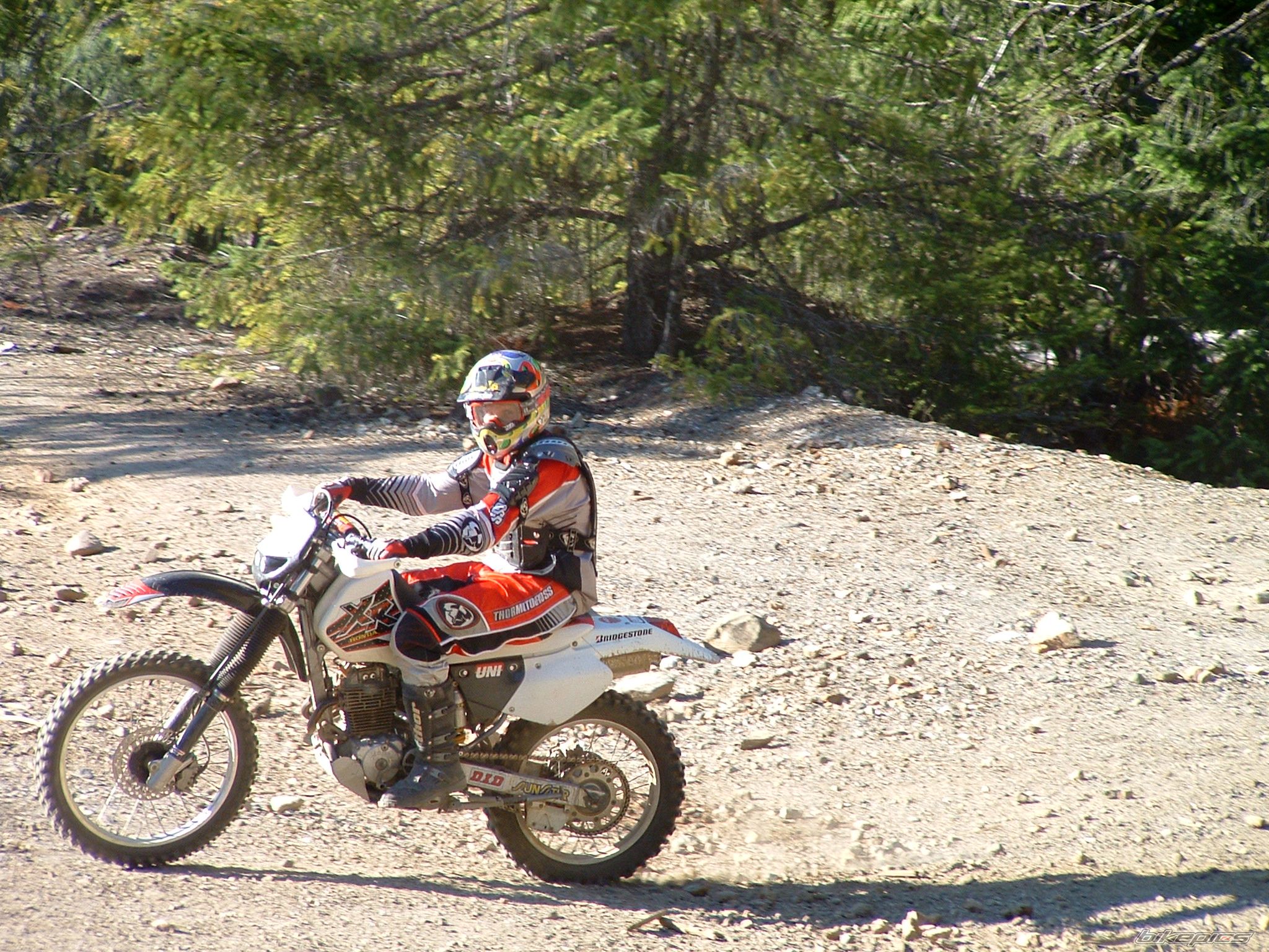 Bike Photo 1723844