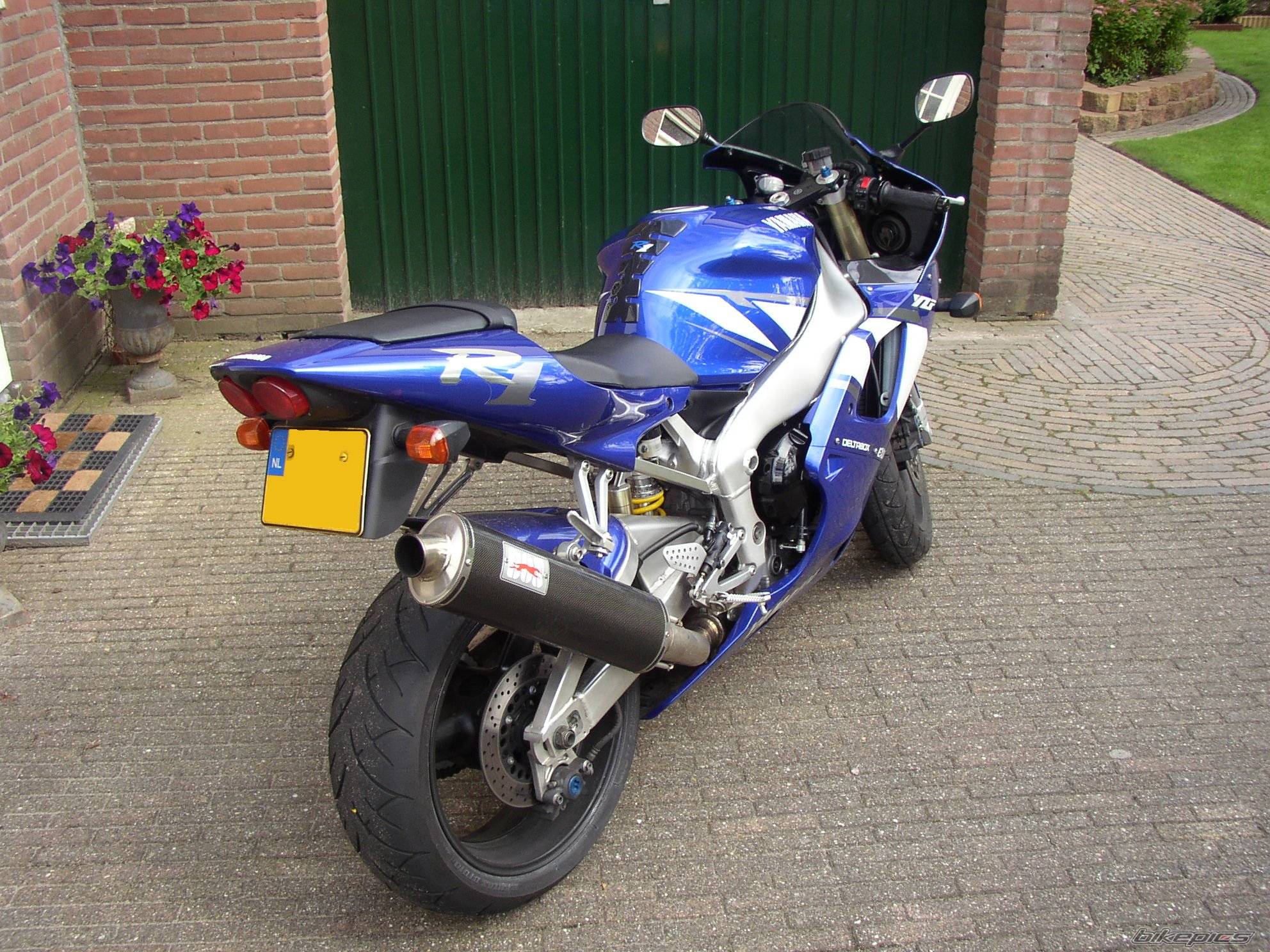 Photo 172394