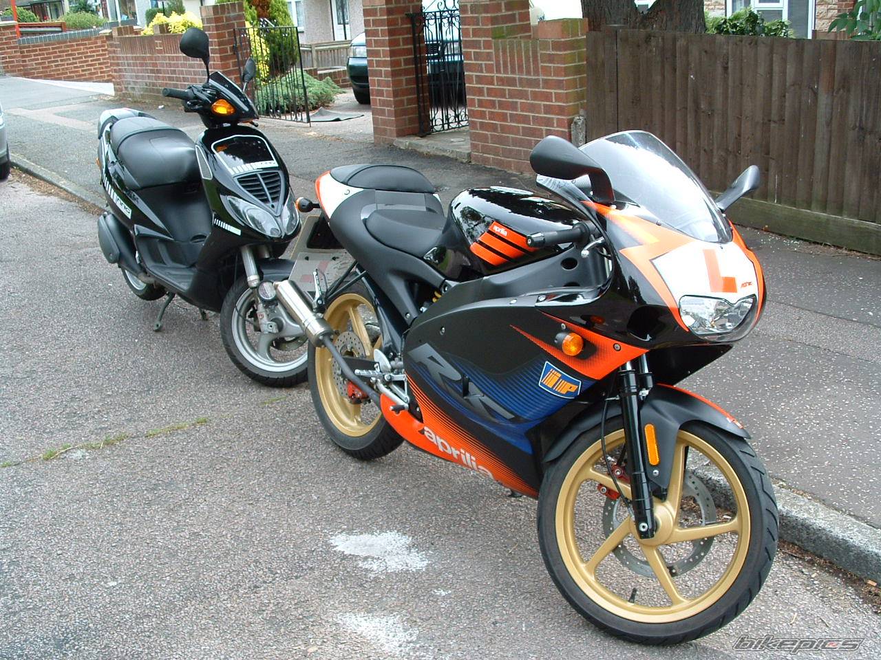 Photo 172399