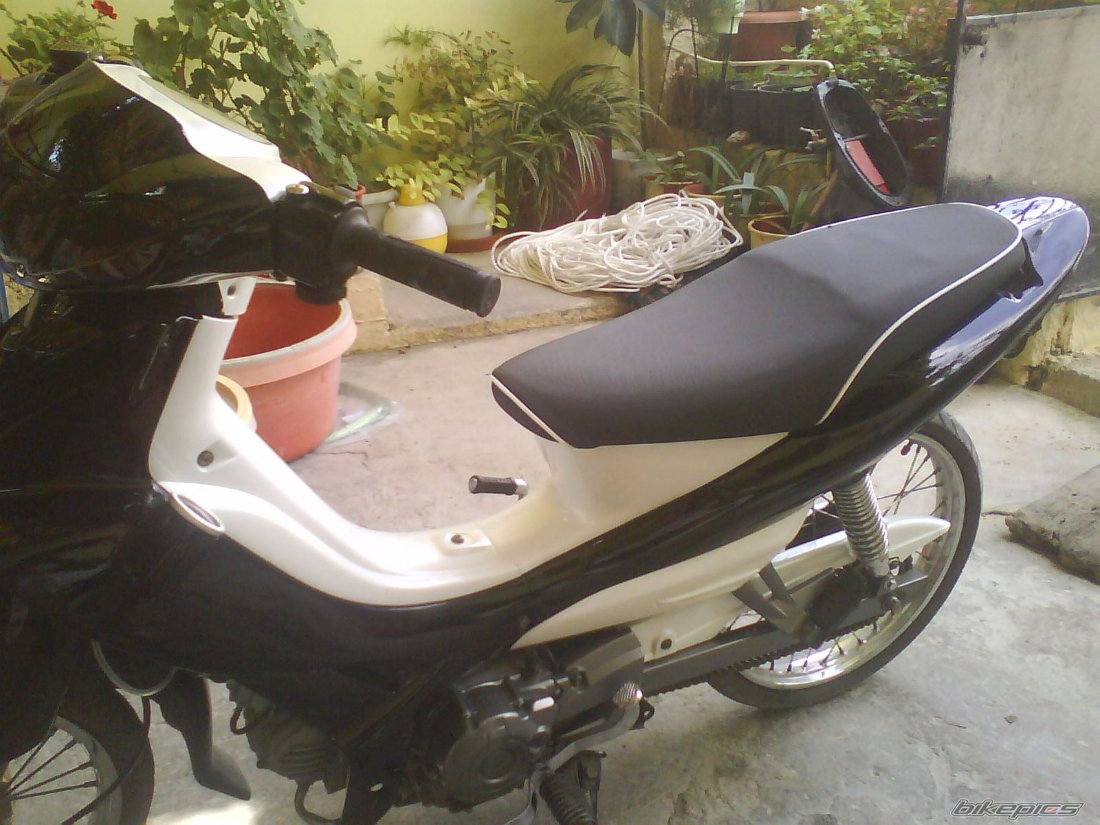 Photo 1724014