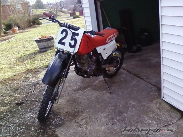 Photo 1724049