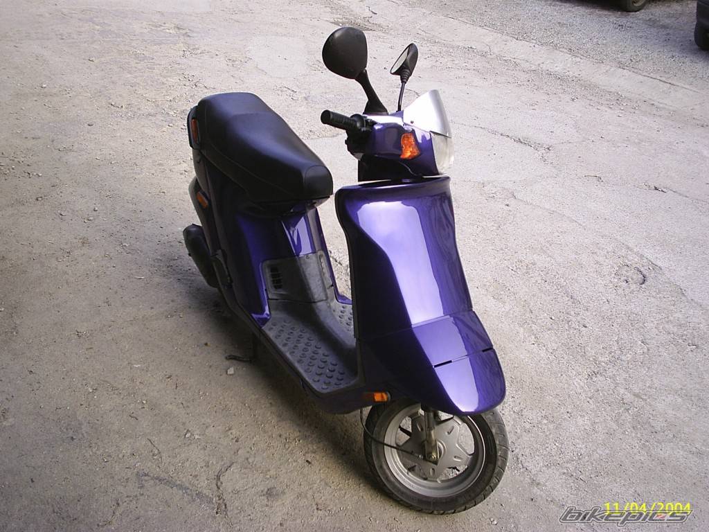Photo 172412