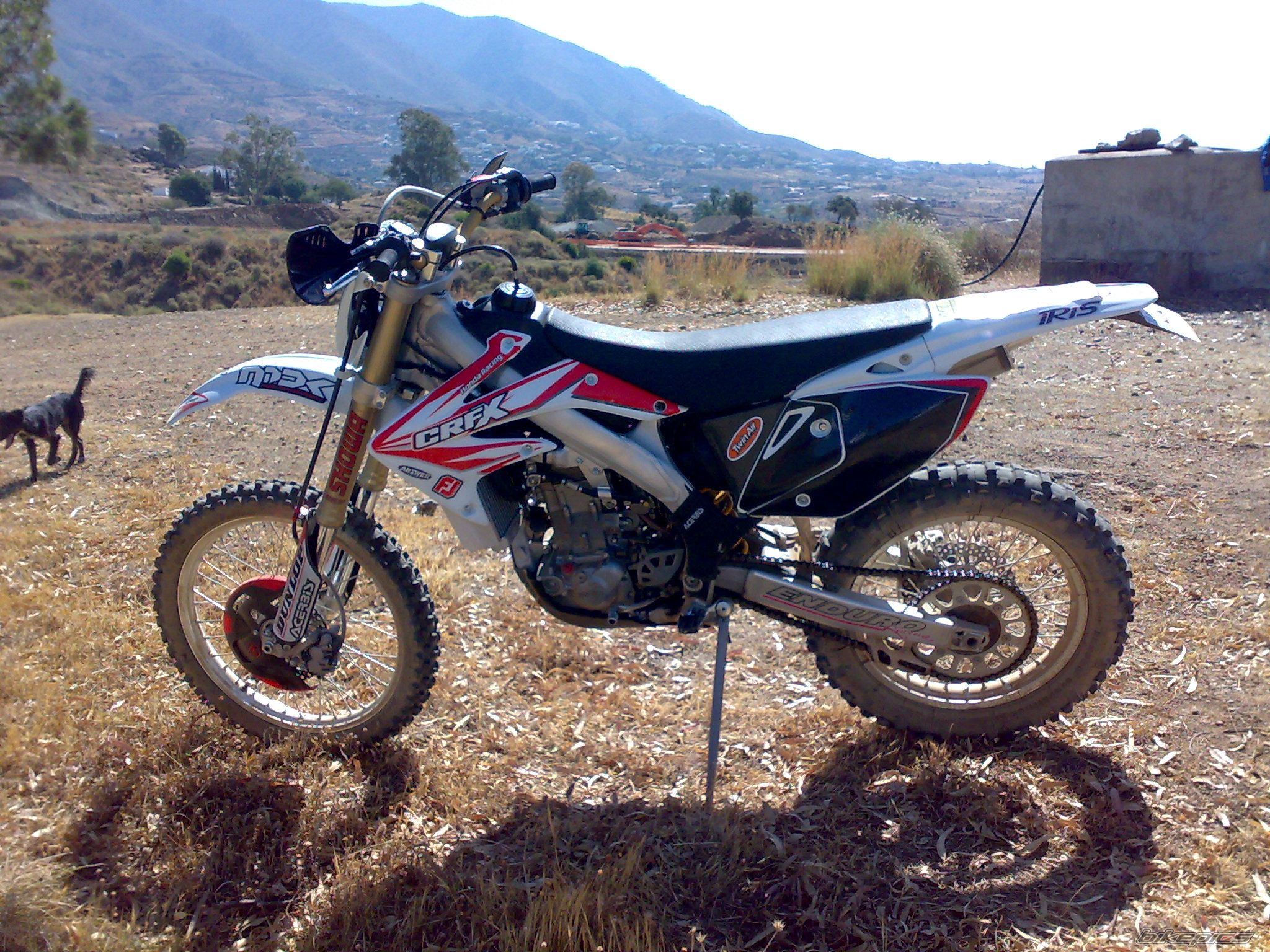 Photo 1724125