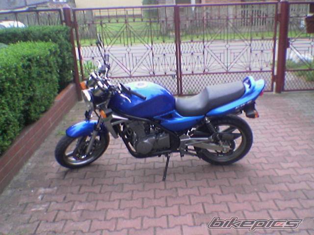 Photo 172413