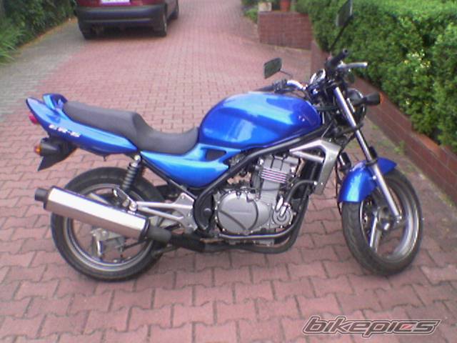 Photo 172415