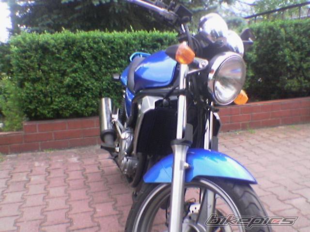 Photo 172424