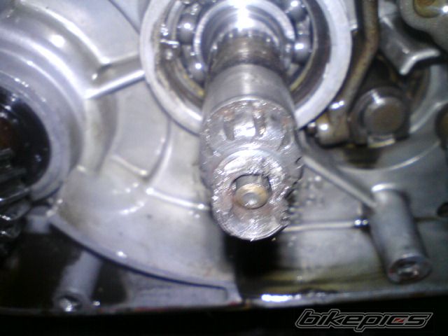 Bike Photo 1724275