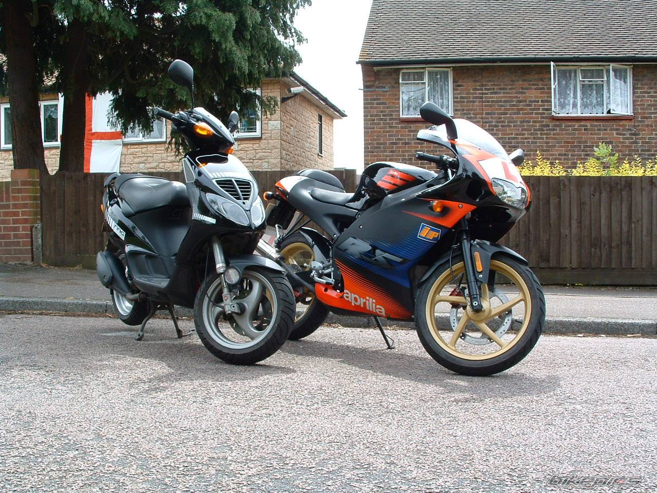 Photo 172429