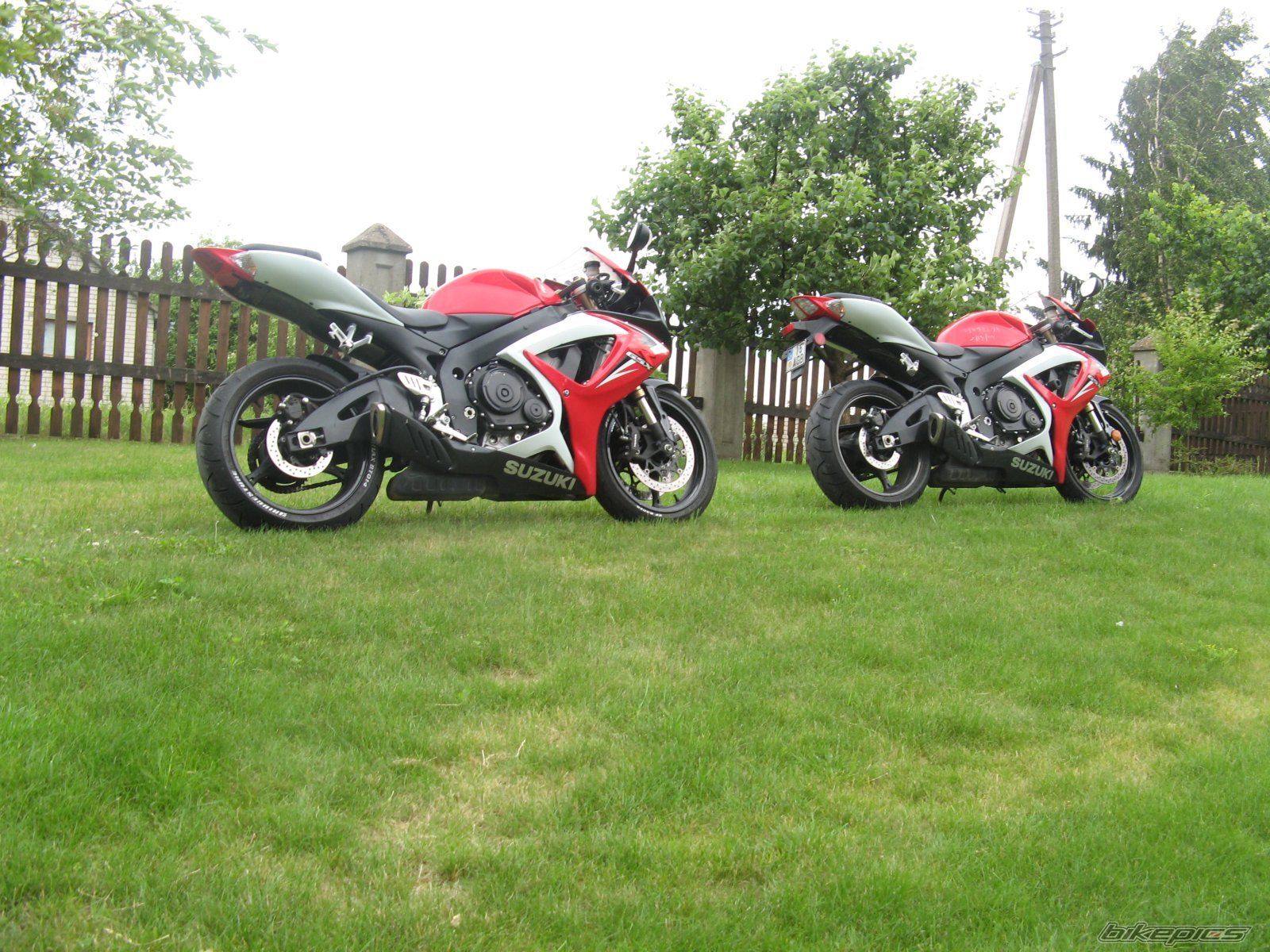 Photo 1724547