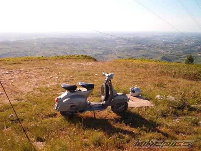 Photo 172459