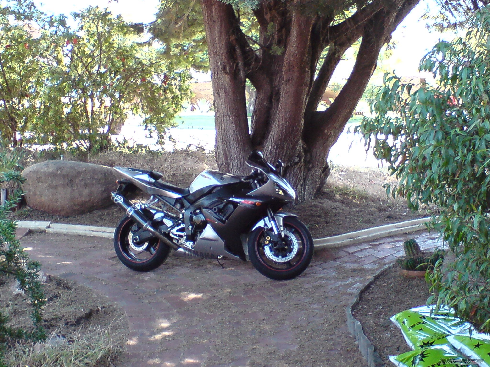 Photo 1724627