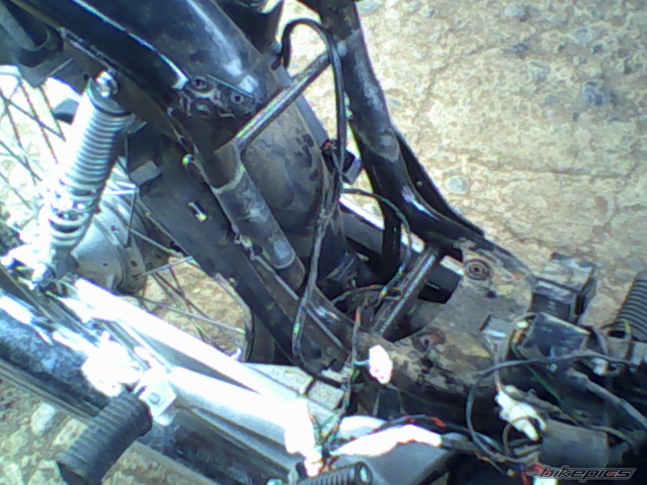 Photo 1724644