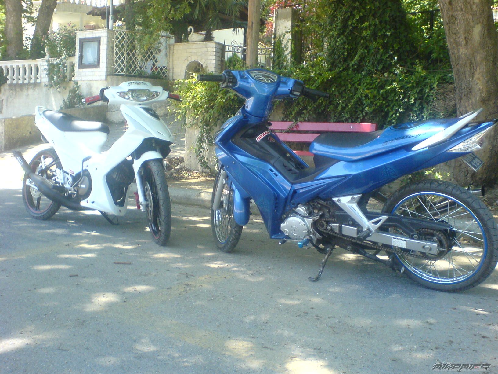 Photo 1724832