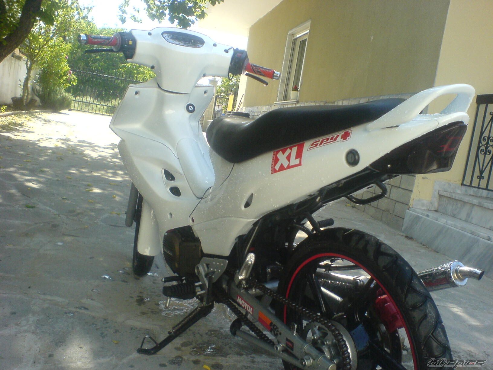 Photo 1724833
