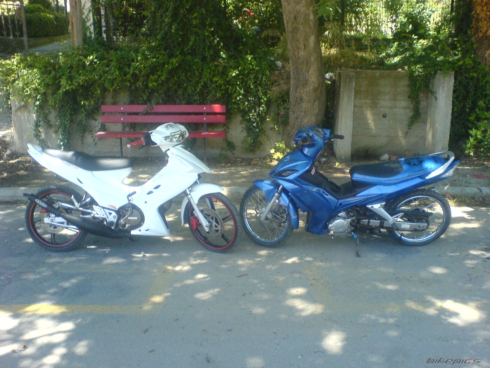 Photo 1724835