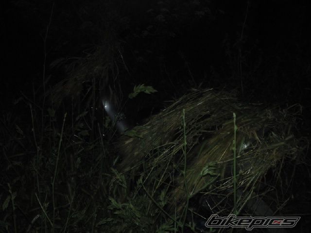 Photo 1724961