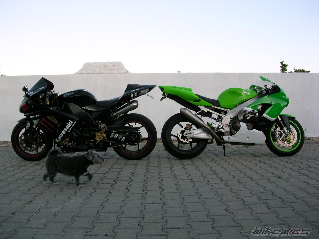 Photo 1725008