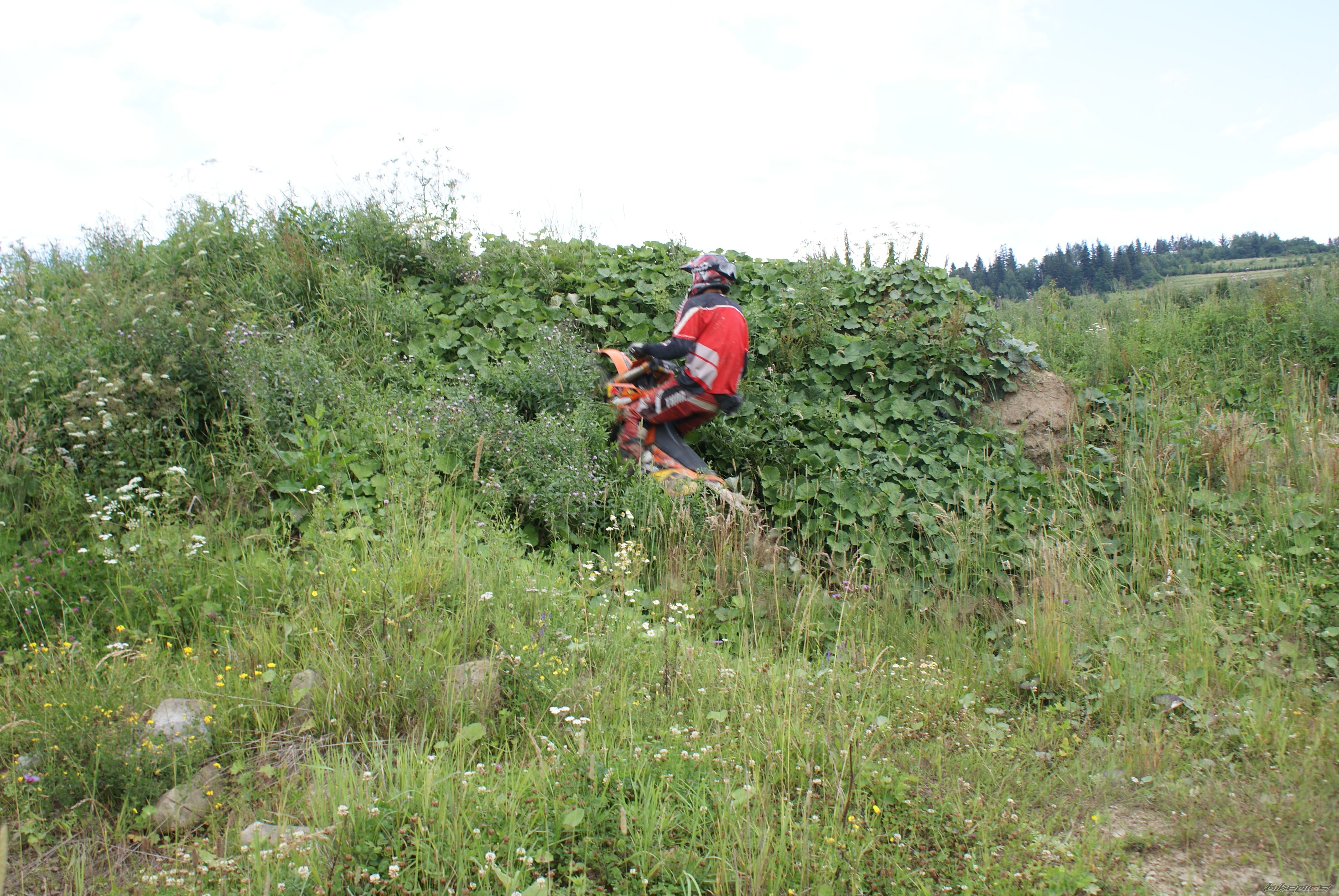 Photo 1725012