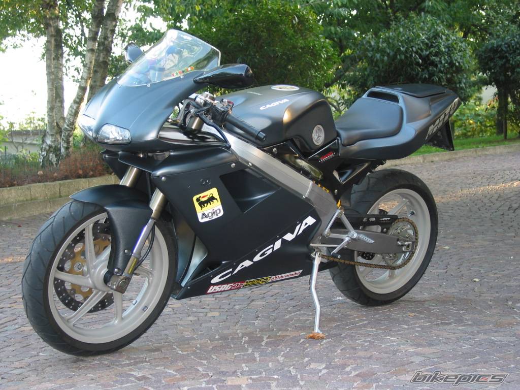 Photo 172507
