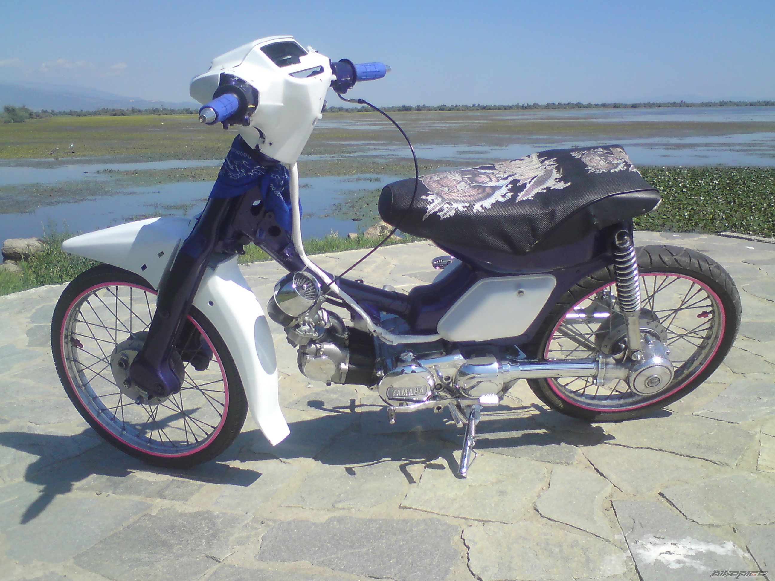 Photo 1725105