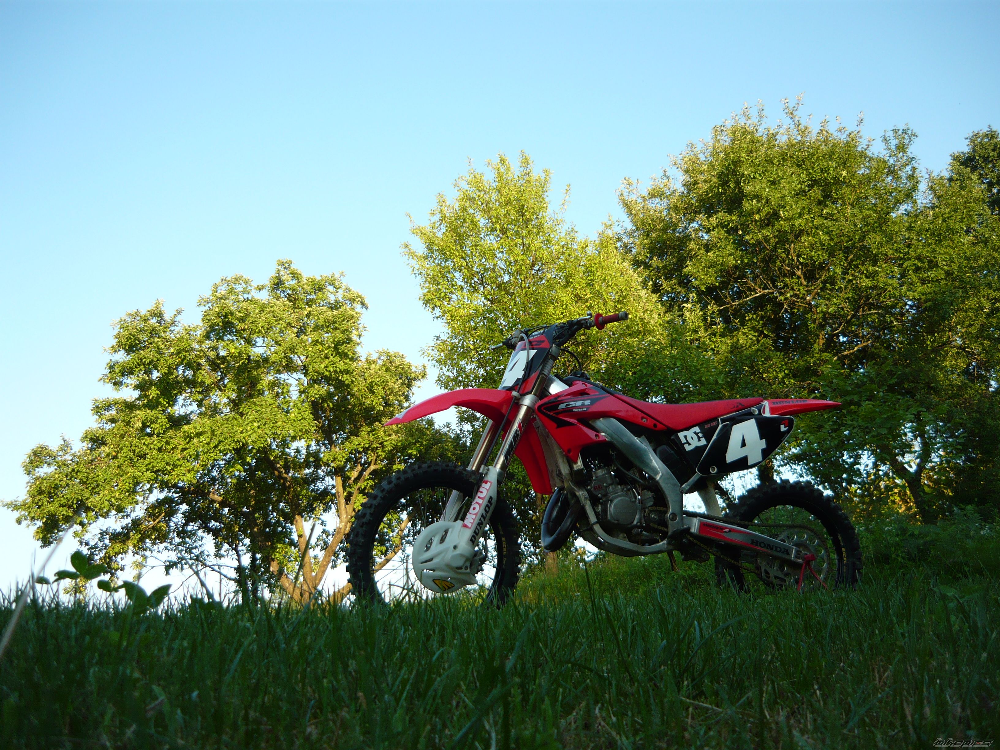 Photo 1725244