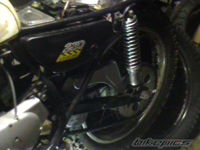 Photo 1725323