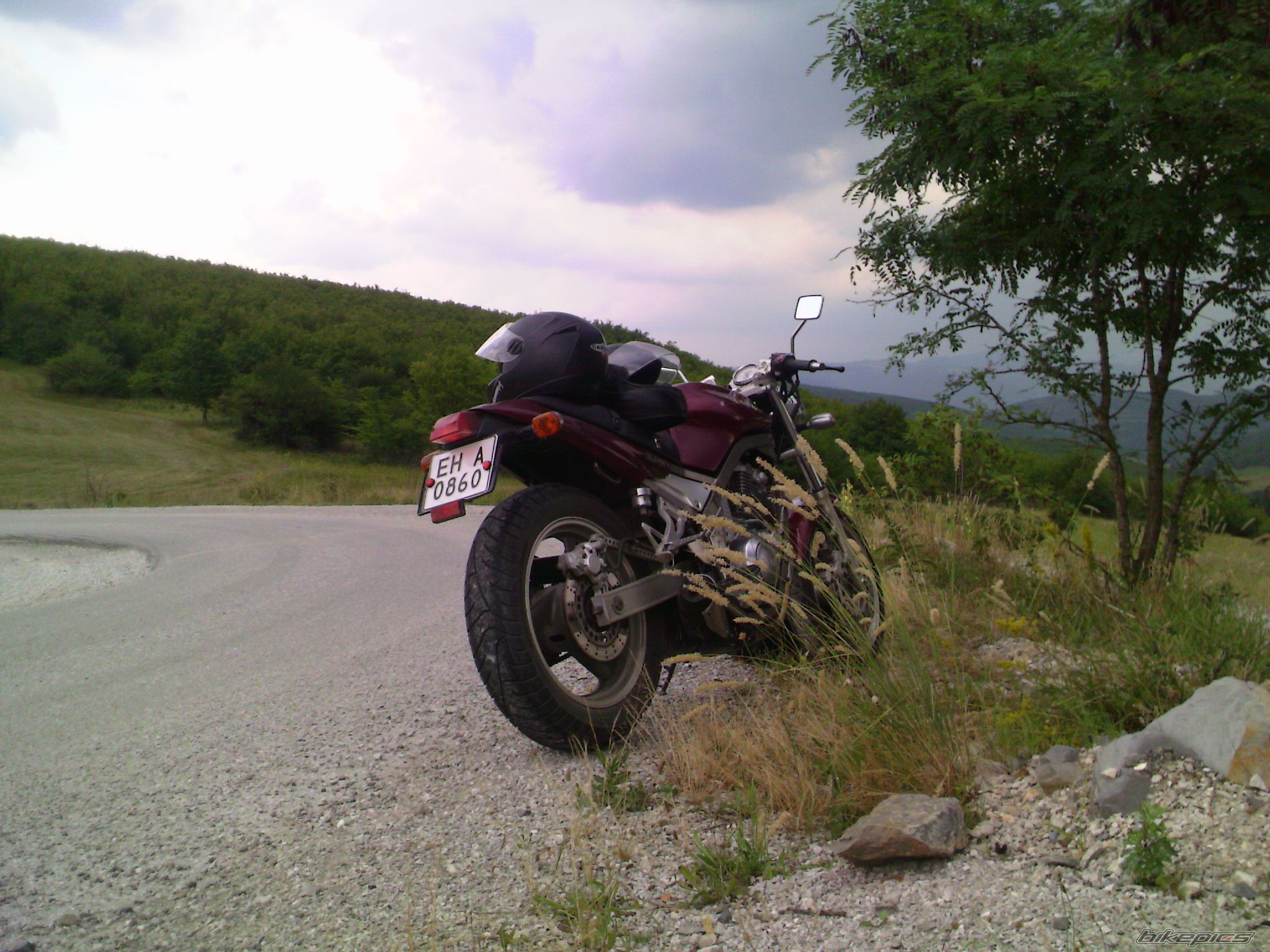 Photo 1725341