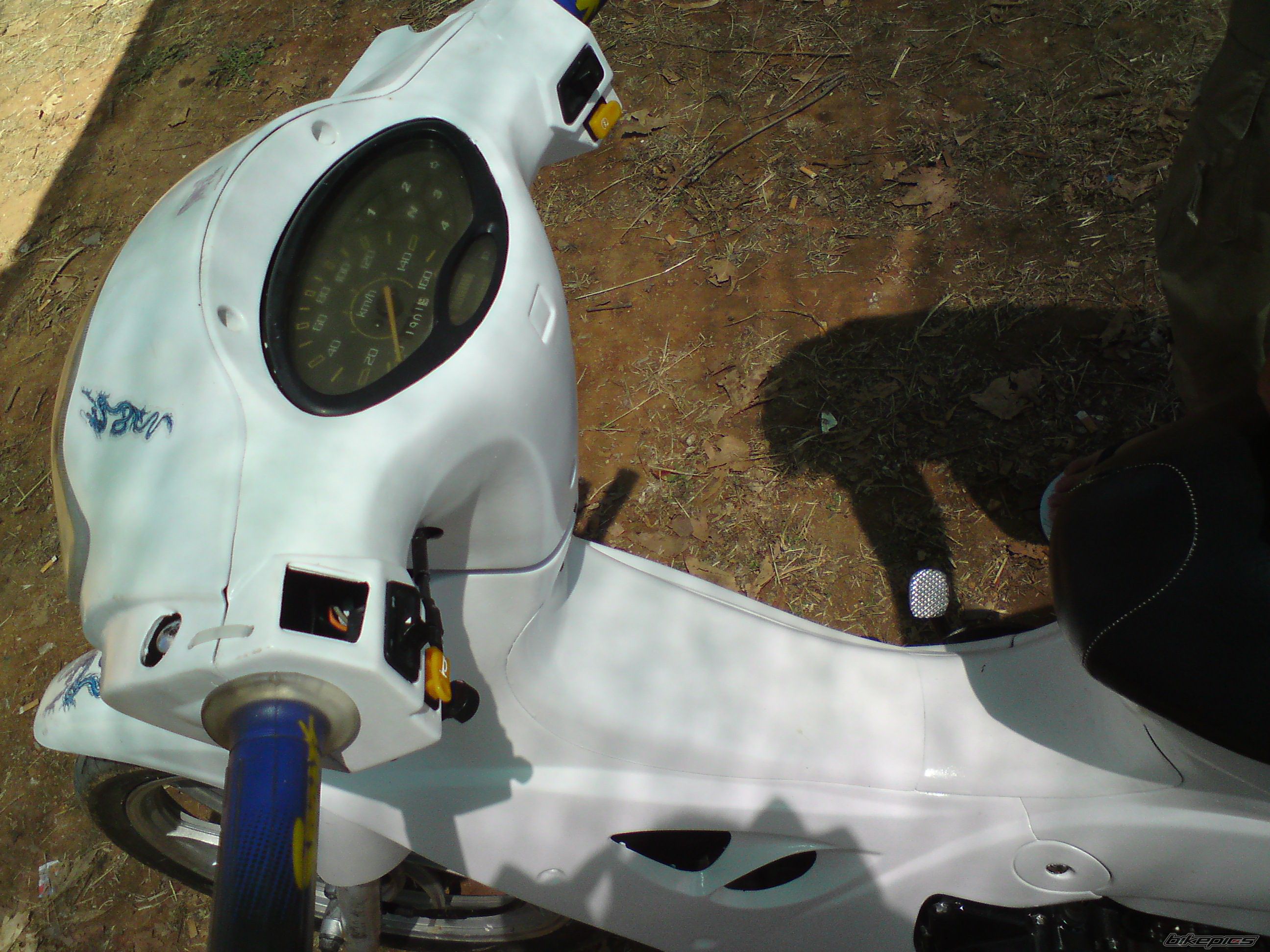 Photo 1725348