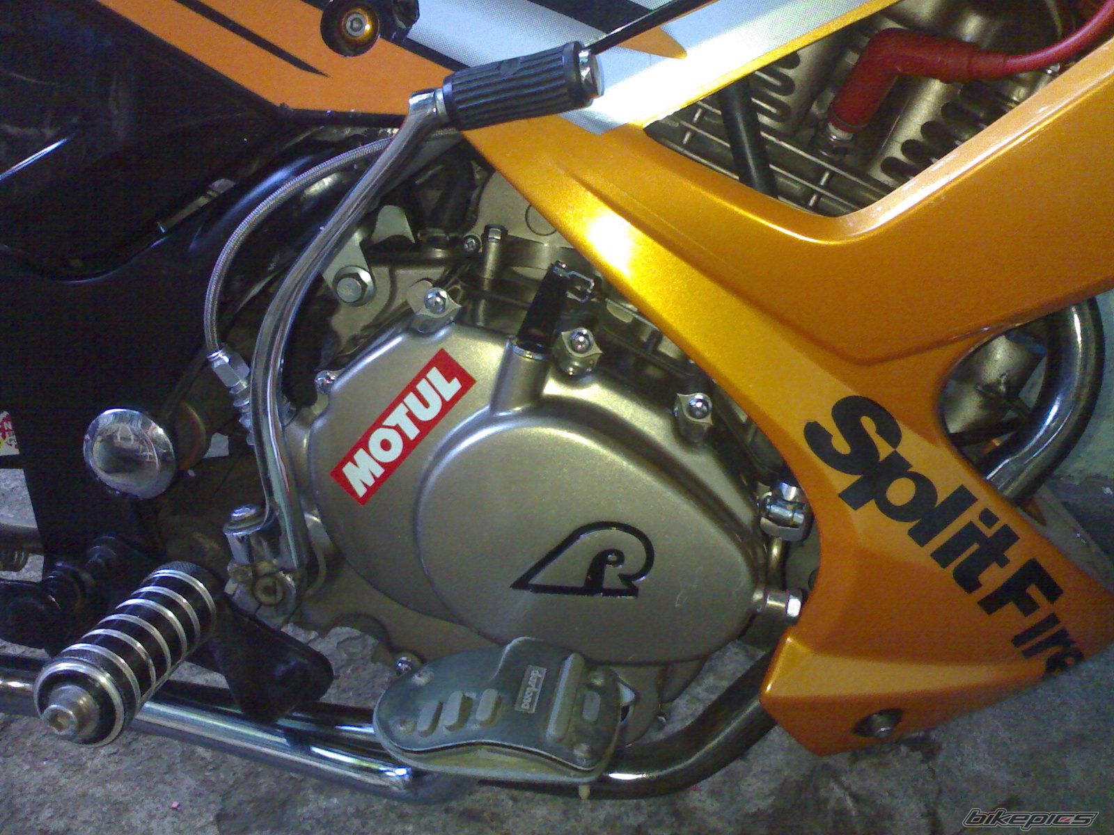 Photo 1725433