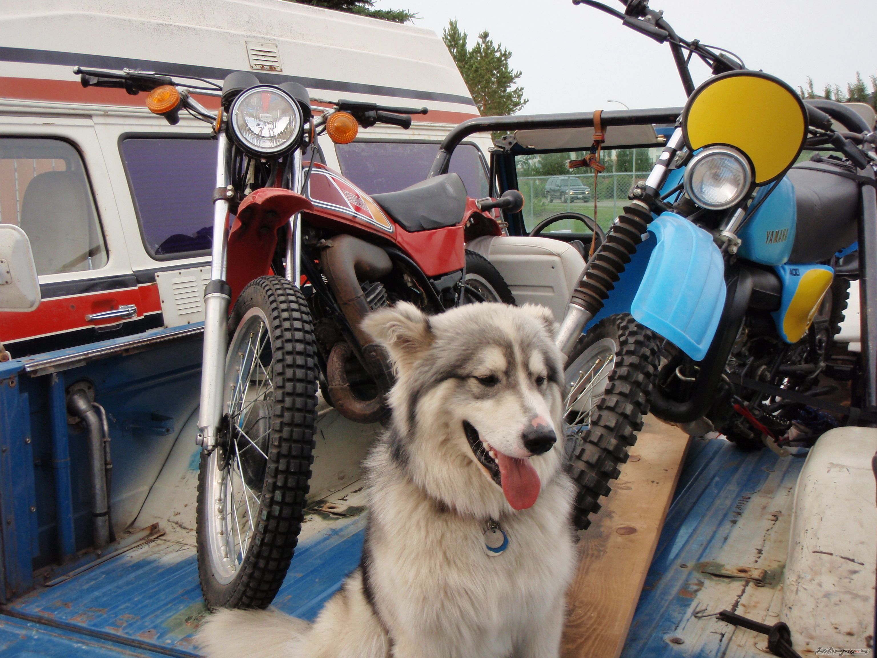 Photo 1725484