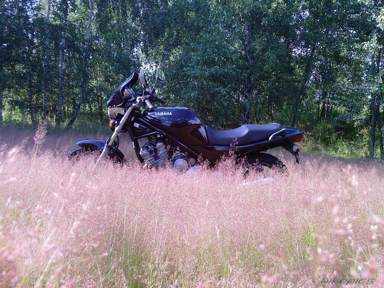 Photo 1725537