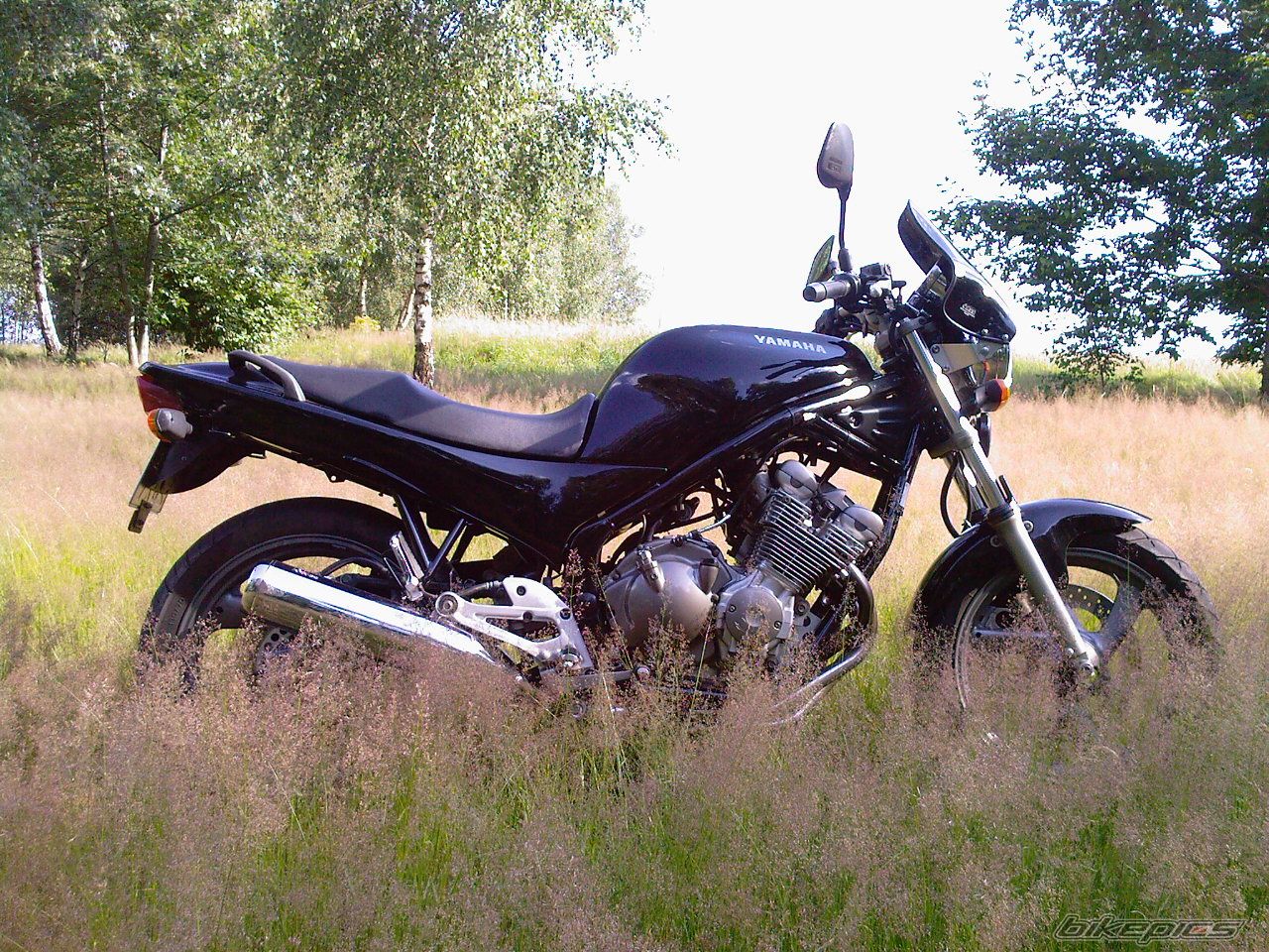Photo 1725539