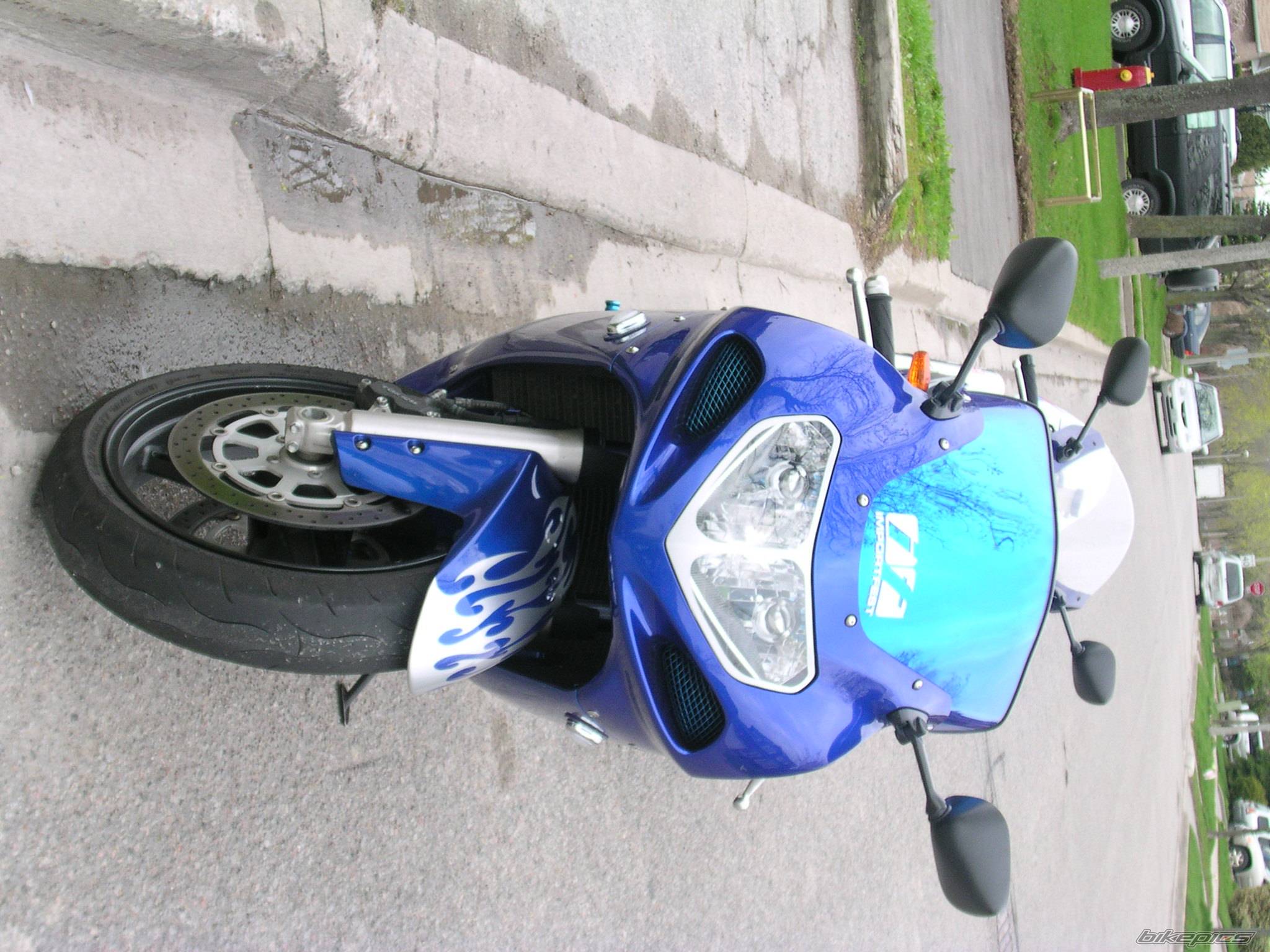 Photo 172564