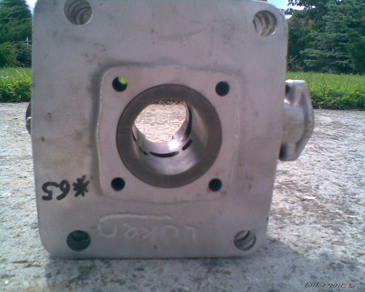 Photo 1725651