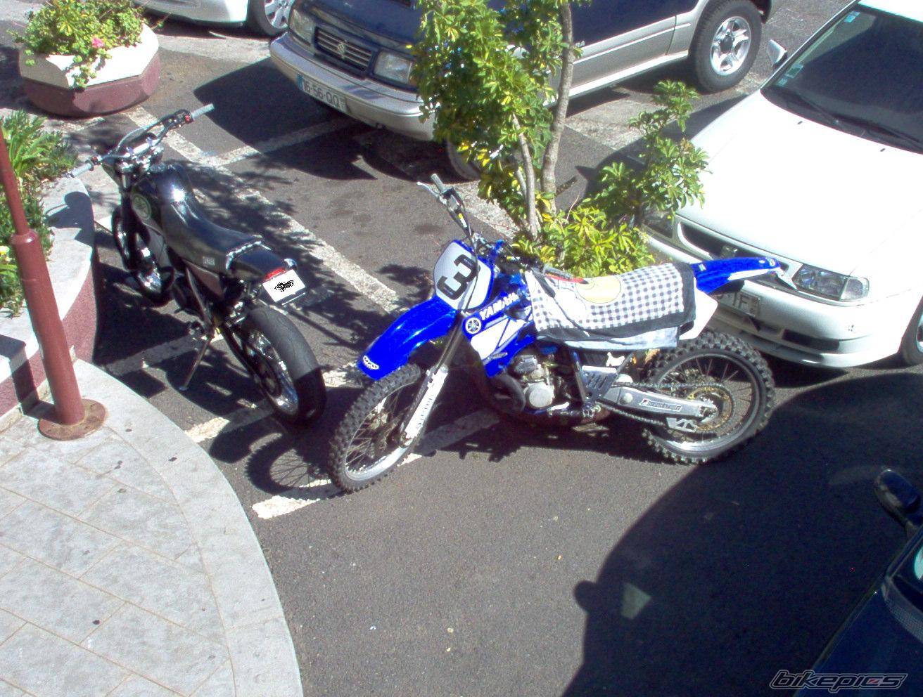 Photo 172568