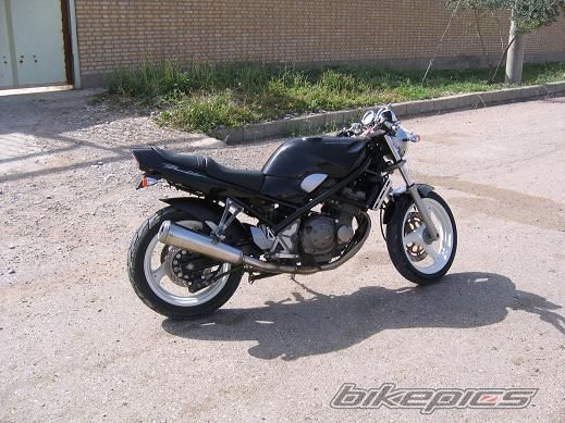 Photo 1725691