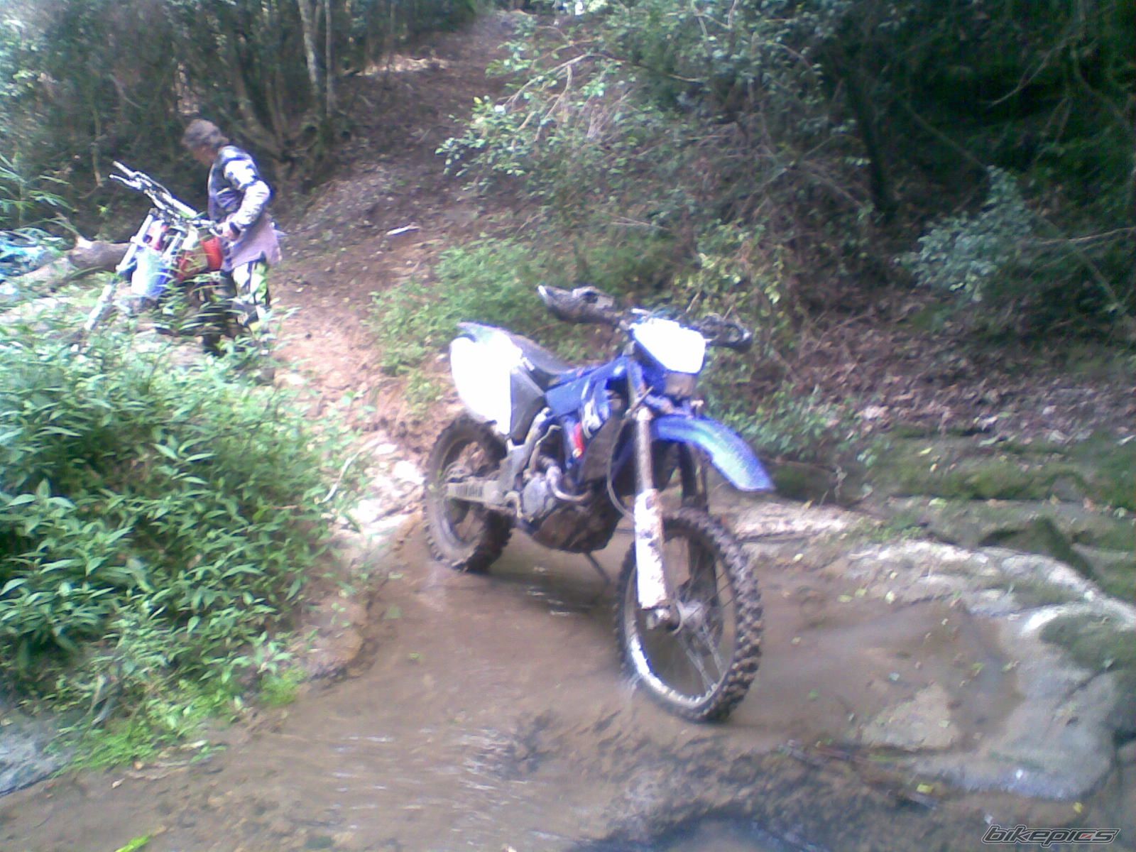 Photo 1725785
