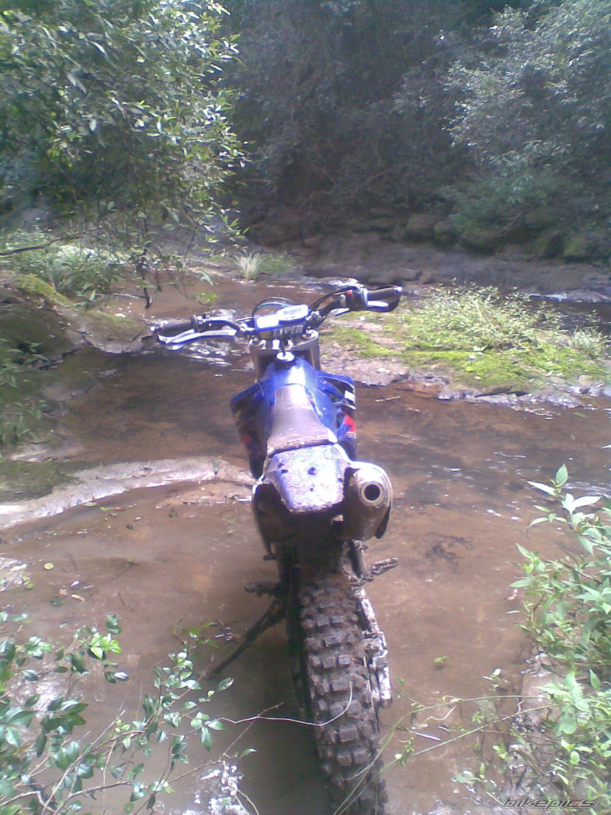 Photo 1725786