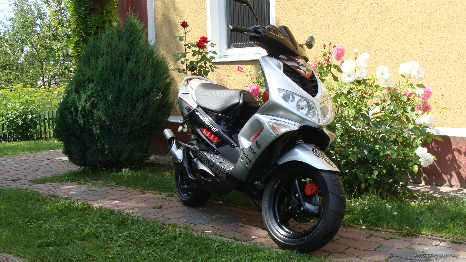 Bike Photo 1725848