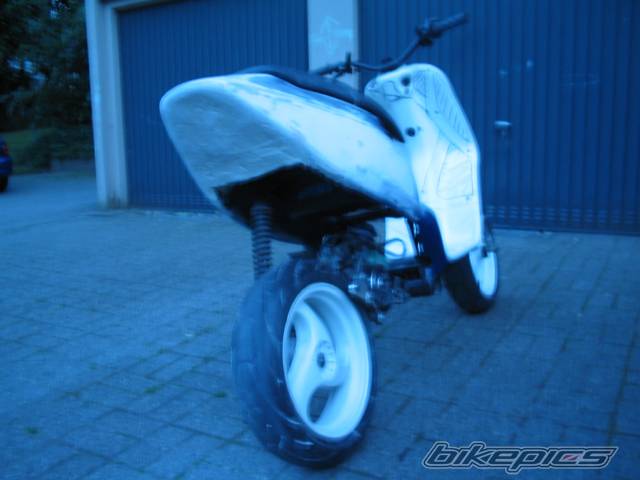Photo 172591