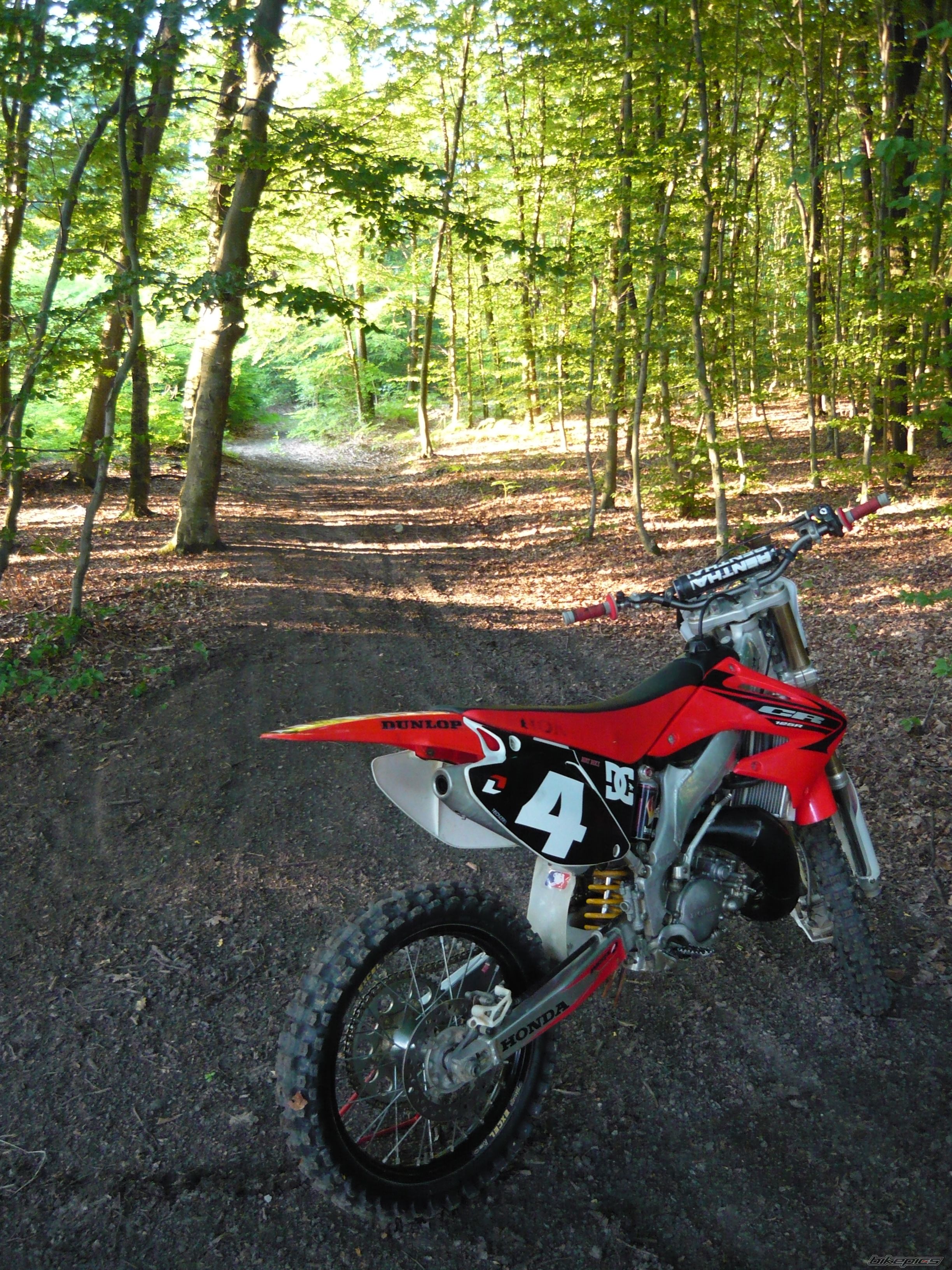 Photo 1725920