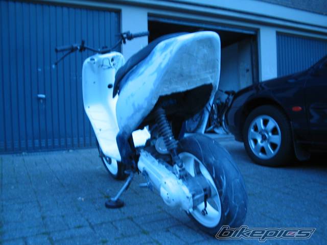 Photo 172593